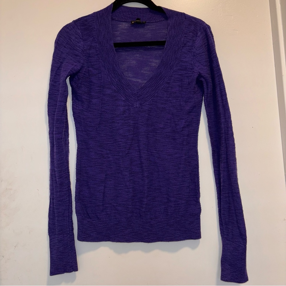 Express V-neck sweater